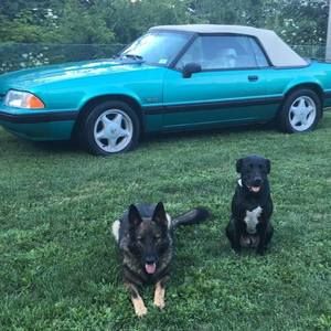 Meet your Posher, Michael